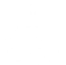 Digital Democracy initiative